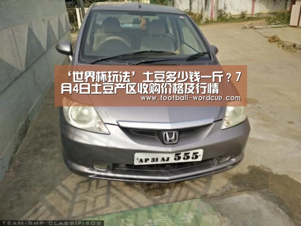‘世界杯玩法’土豆多少钱一斤?7月4日土豆产区收购价格及行情(图2) 世界杯玩法